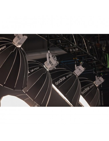 Godox Litemons LE300Bi torcia led...