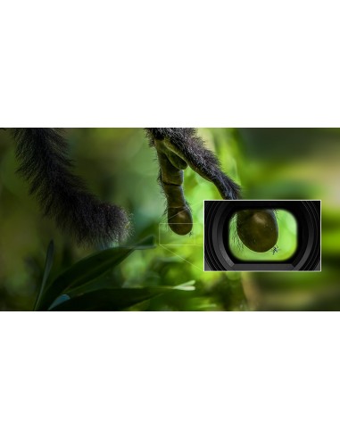 Panasonic Lumix G9 + 12-60mm f 2.8-4... Panasonic Lumix G9 + 12-60mm f 2.8-4...