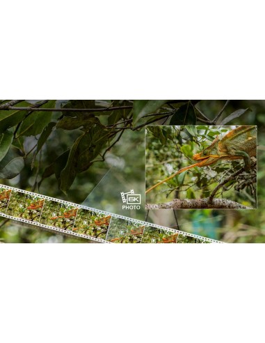 Panasonic Lumix G9 + 12-60mm...