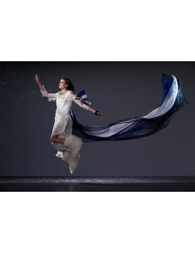 Sony Alpha 1 Body (ILCE-1)