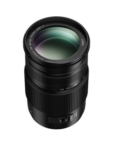 Panasonic Lumix G 100-300mm f/4-5.6...
