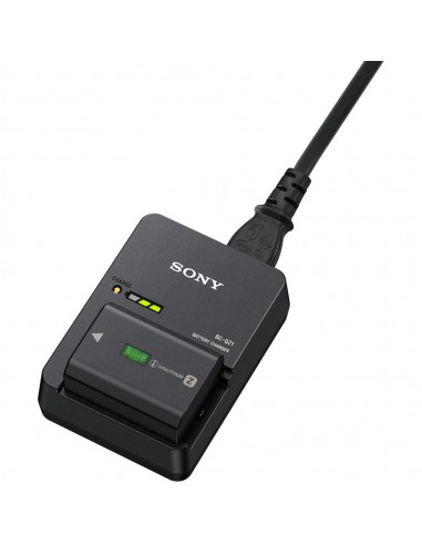 Sony BC-QZ1 Caricabatterie per NP-FZ100