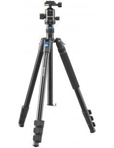 Cullmann treppiede RONDO...