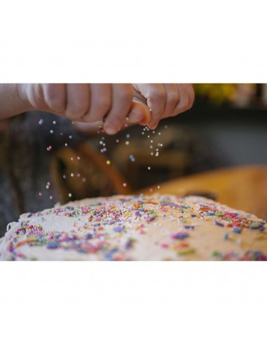 Nikon NIKKOR Z MC 50mm f/2.8 Macro