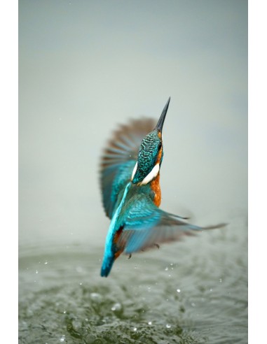 Sony FE 70-200mm f/2.8 G Master OSS... Sony FE 70-200mm f/2.8 G Master OSS...