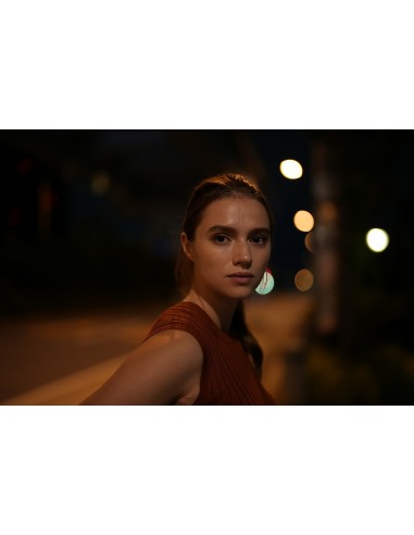 Sony Alpha 7 IV Body (ILCE-7M4)