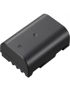 Panasonic DMW-BLF19