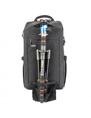 Think Tank BackStory 15