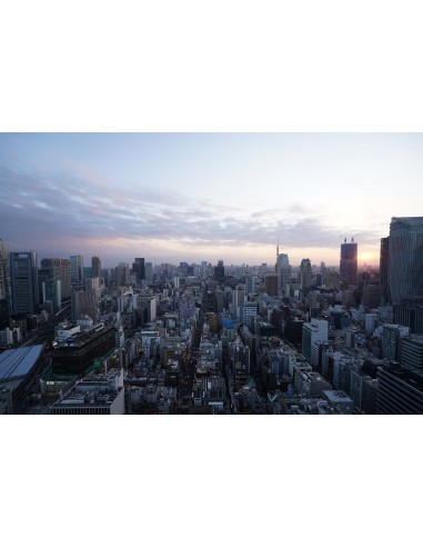 Sony FE 16-35mm f/4 G PZ (SELP1635G)