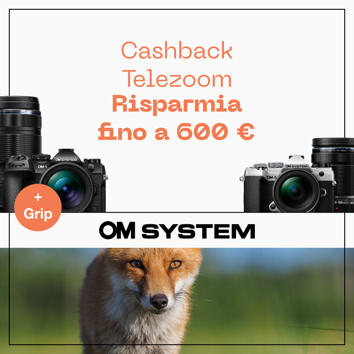 (29/10) Cashback OM System 