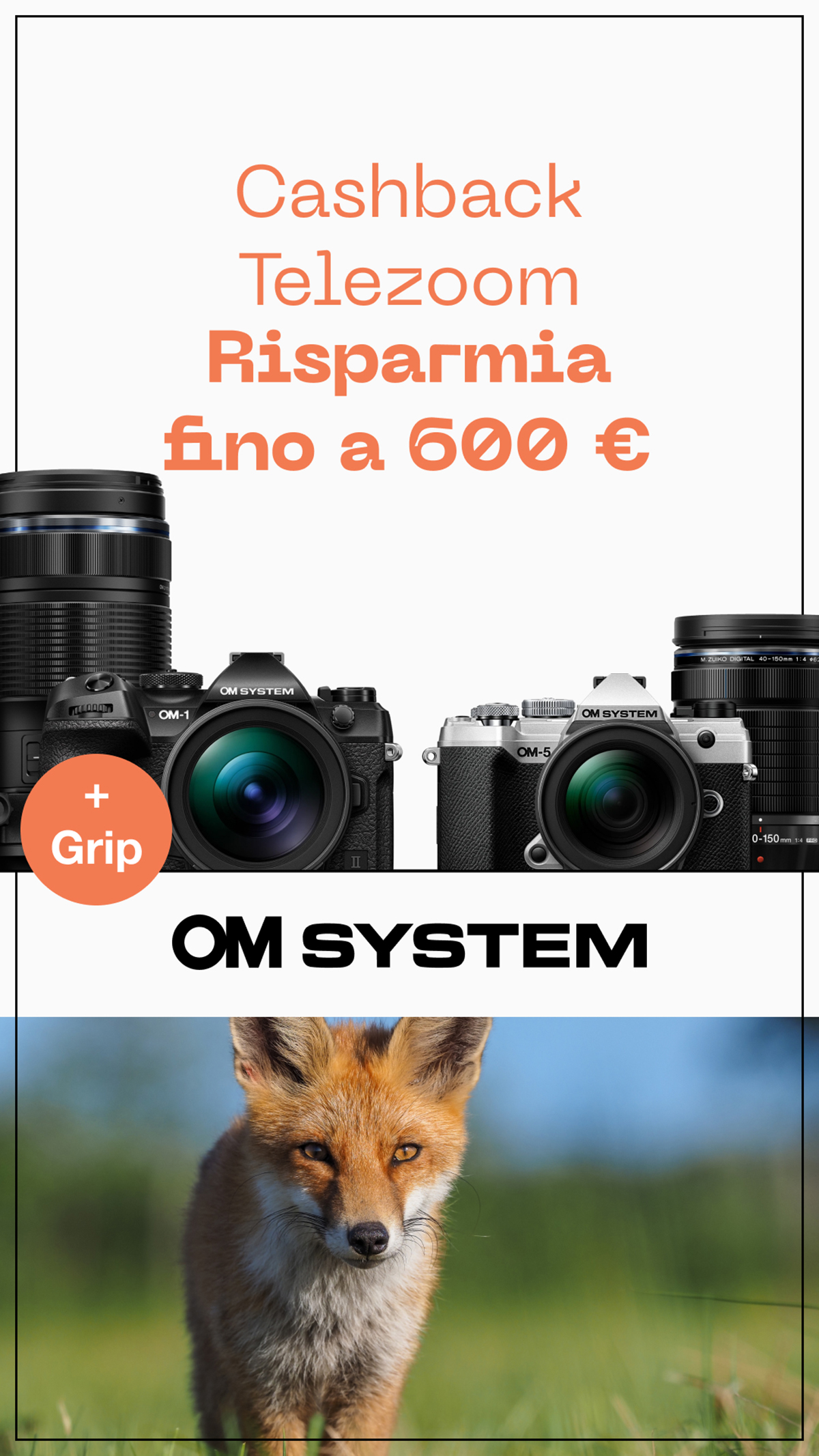 (29/10) Cashback OM System