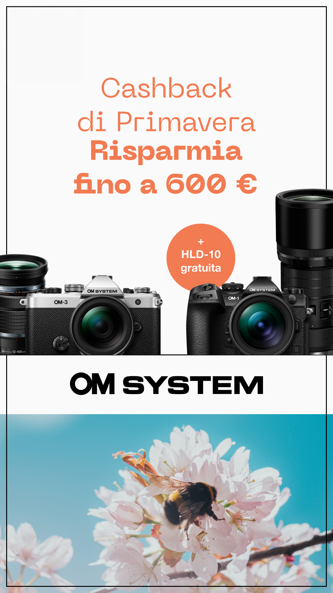 (5/04) Cashback Om System 